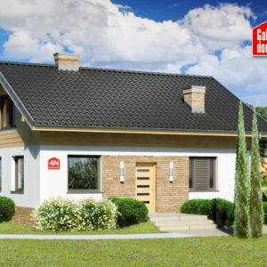 Projekt domu Dom przy Imbirowej 4 N