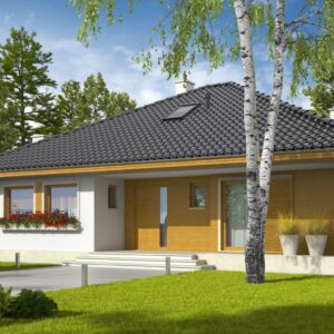 Projekt domu Flori III (30 stopni)