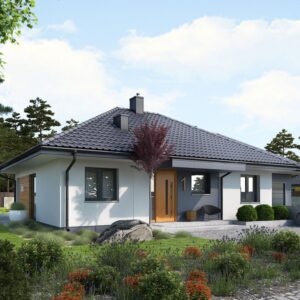 Projekt domu Mini 1 G1
