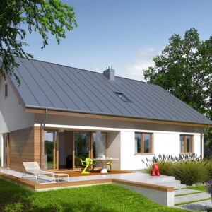 Projekt domu Swen