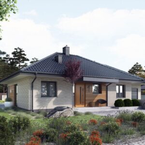 Projekt domu Mini 1 G1 (wiązary)