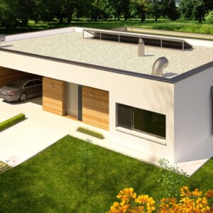 Projekt domu EX 7 (z wiatą) soft