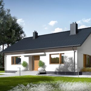Projekt domu Swen III (wiązary)